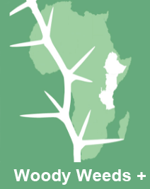 Woody Weeds Logo